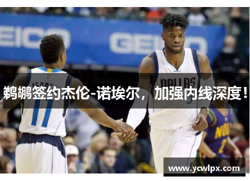 鹈鹕签约杰伦-诺埃尔，加强内线深度！